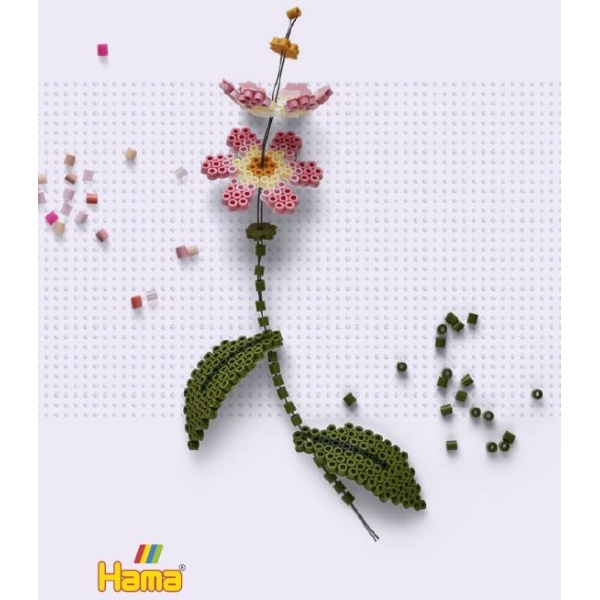 hama3621_20230125125622n